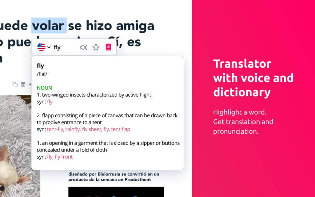 Translate, communicate, and learn with Lingvanex!